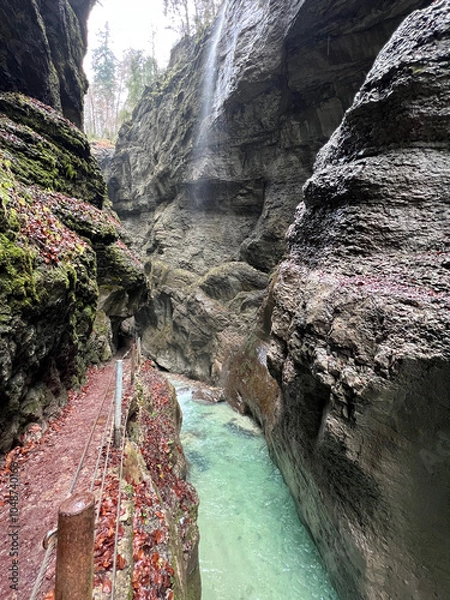 Fototapeta A narrow pathway winds through Partnach Gorge beside a clear blue, rushing stream, with red leaves scattered on the ground, creating a dramatic autumn landscape in Bavaria.