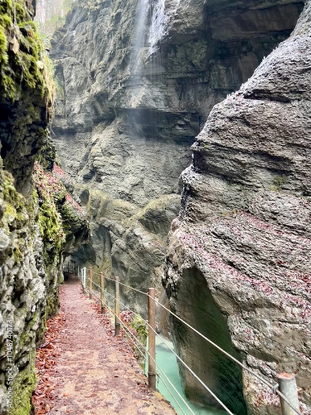 Fototapeta A narrow pathway winds through Partnach Gorge beside a clear blue, rushing stream, with red leaves scattered on the ground, creating a dramatic autumn landscape in Bavaria.
