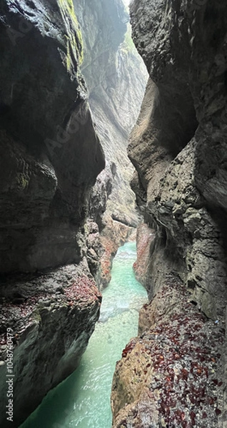 Fototapeta The beautiful stream flows through the rocky valley of Partnachklamm Gorge, where lush moss clings to stones, creating a vibrant and serene natural scene in Garmisch-Partenkirchen.