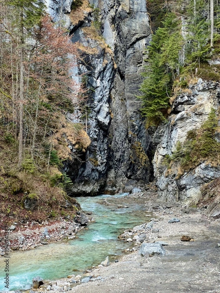 Fototapeta A crystal-clear blue river flows out from the rocky valley of Partnachklamm Gorge, framed by a dense forest and rugged mountain backdrop, creating a serene alpine scene.