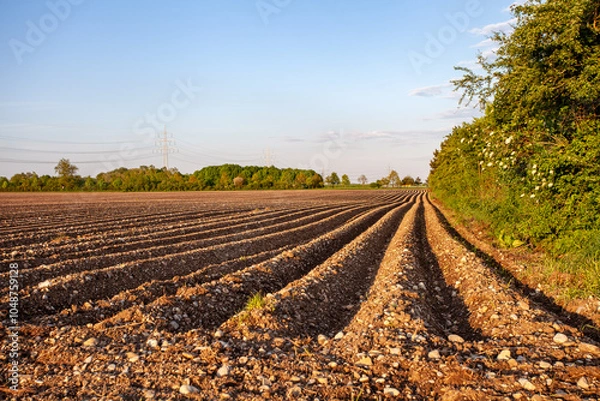 Obraz Steinige Ackerfurchen