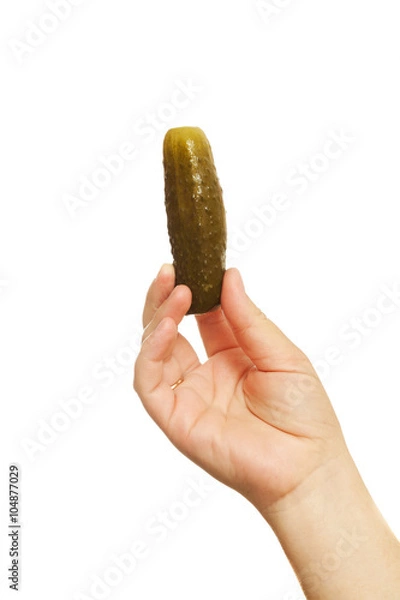 Obraz pickled cucumber in a human hand isolated on white background