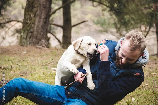 Obraz boy playing with Labrador