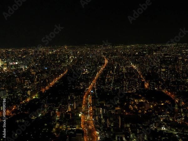 Obraz 大阪の夜景