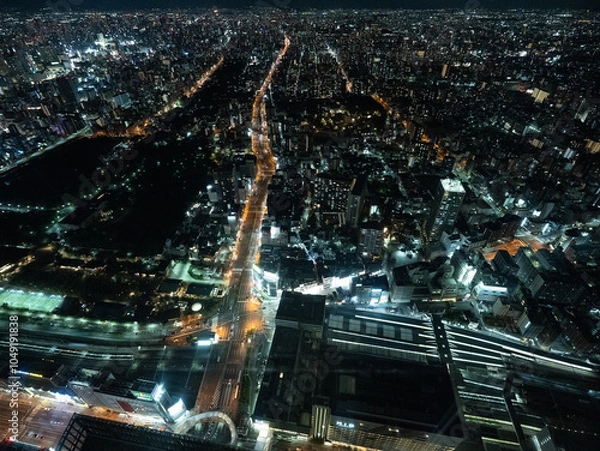 Obraz 大阪の夜景