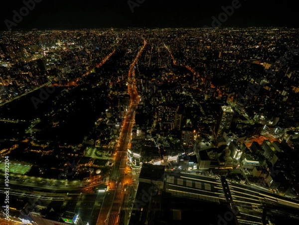 Obraz 大阪の夜景