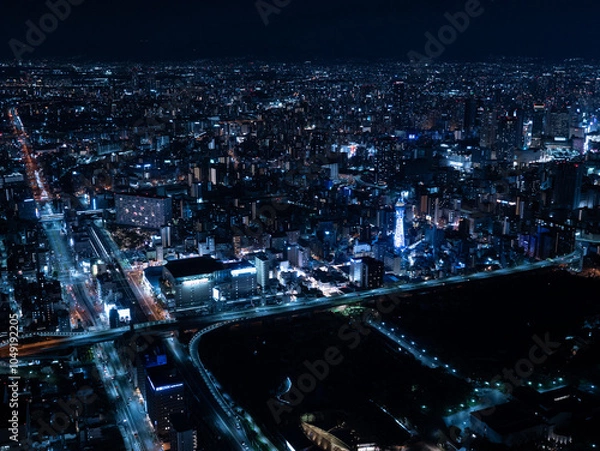 Obraz 大阪の夜景
