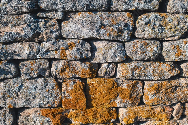 Obraz Pierre et lichen jaune 