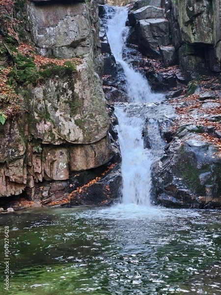 Obraz waterfall in the forest
