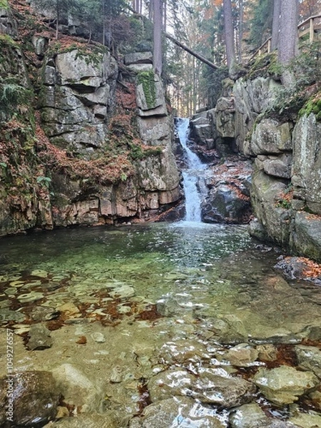 Obraz waterfall in the woods