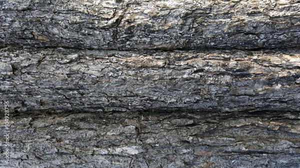 Fototapeta abstract tree texture 
