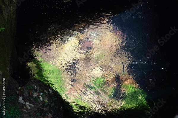 Obraz Aux sources de la Vis, Gard