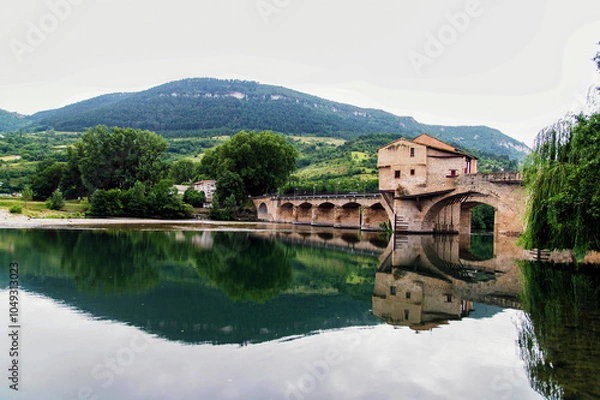 Obraz Le pont du Tarn