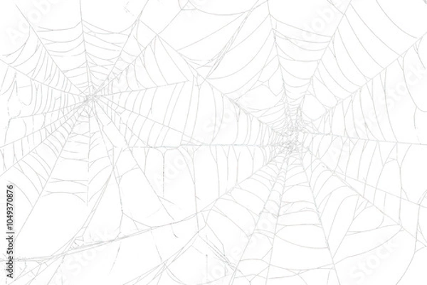 Fototapeta PNG Spider webs on a black background pattern nature design.