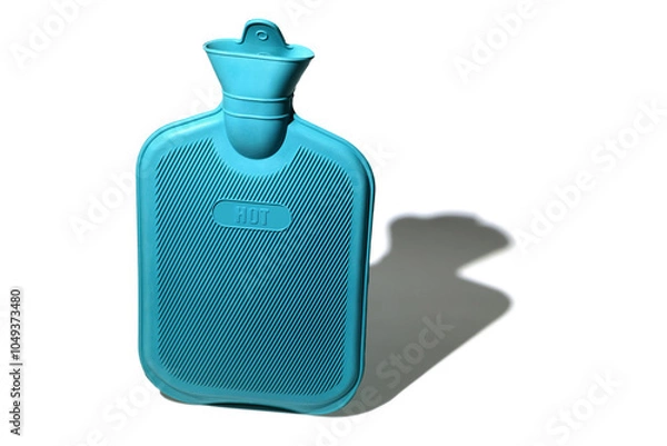 Obraz Hot Water Bottle