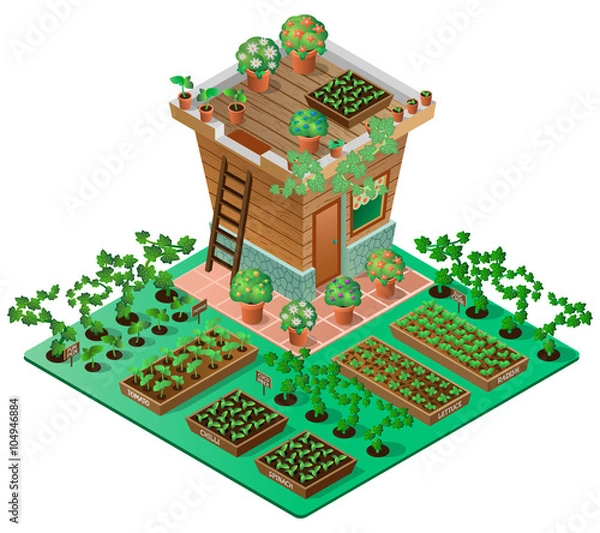 Obraz Garden in spring. Garden house with seedlings and flowers. 3d isometric view. Vector illustration.