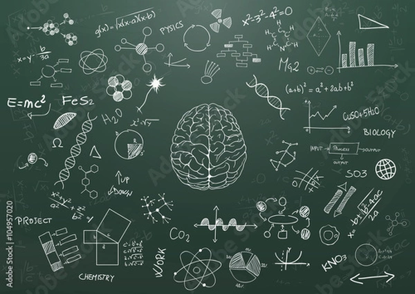 Obraz brain science chalkboard