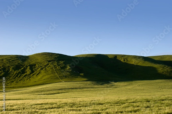 Obraz Farmlands and rolling hills in rural Hawke's Bay, New Zealand