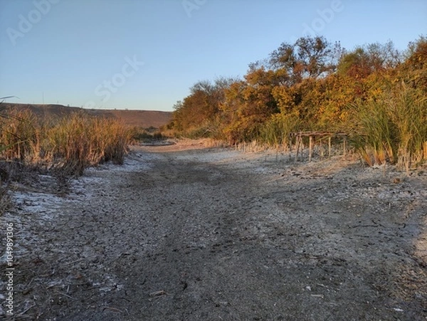 Obraz Dried up swamp with mountains in the background