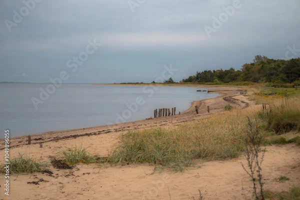 Obraz Beach in Denmark