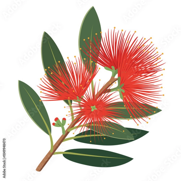 Fototapeta A flat design illustration of a pohutukawa blossom, with red flowers and green leaves.