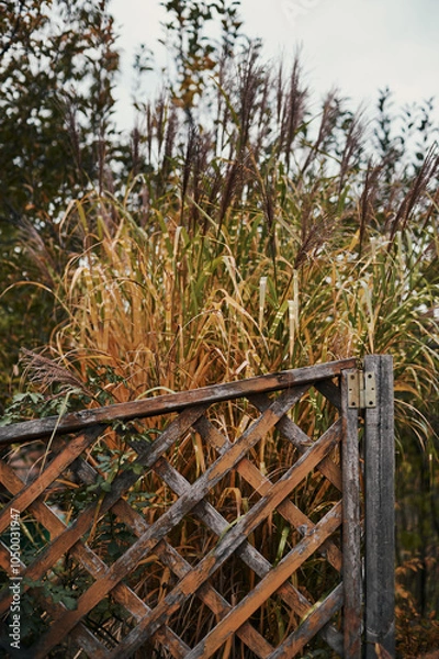 Fototapeta A rustic wooden fence stands tall amidst a backdrop of lush grass and trees