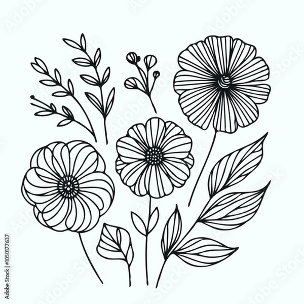 Obraz Adobe Illustrator Artwork
outline black and white line art, lineart, doodle flower. set of contour floral of cosmos, Chamomile, daisies, grasses, stems, herbs, leaves decorative elements