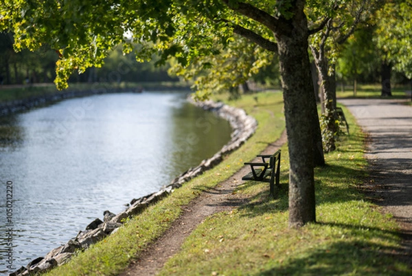 Obraz bridge over the river