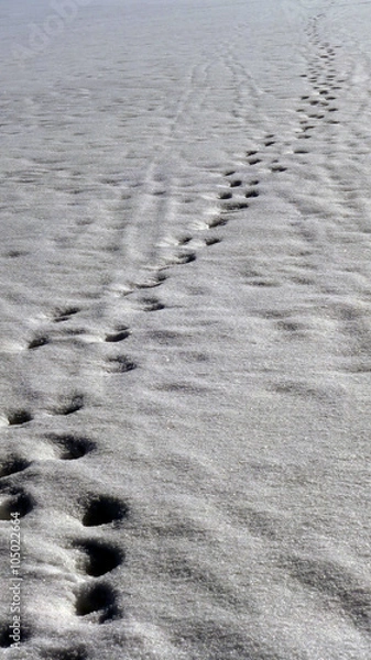 Obraz Footprints on snow