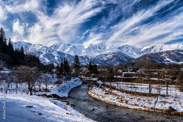 Fototapeta 冬の大出公園