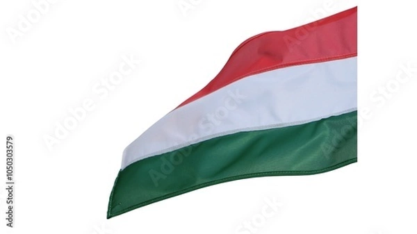 Obraz Hungary national flag isolated on white background.