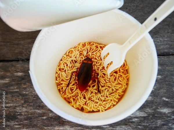 Obraz Cockroach want to eat noodle cup