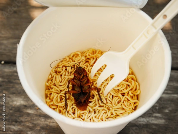 Obraz Cockroach dead in noodle cup