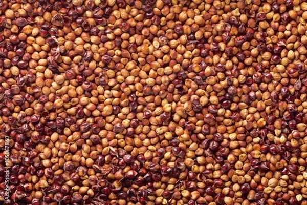 Obraz sorgo z łuskami