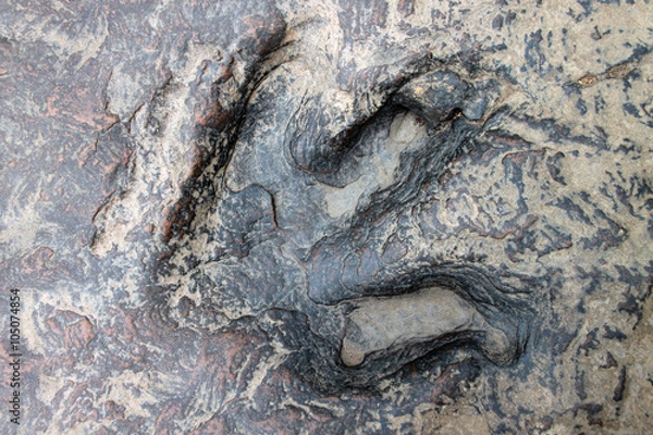 Obraz dinosaur footprint