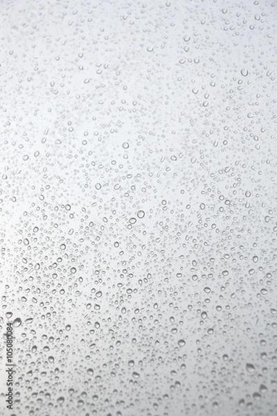 Fototapeta Drops of rain on the window