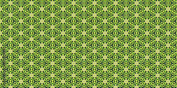 Fototapeta Seamless pattern with flowers. Floral Lattice