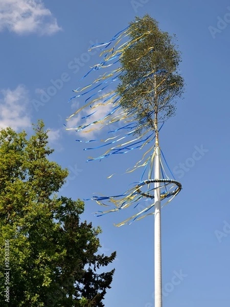 Obraz Maibaum