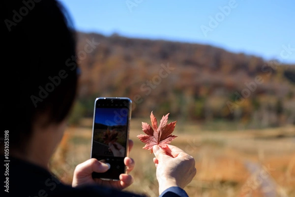Obraz 紅葉　葉　スマートホンで撮影している女性　イメージ