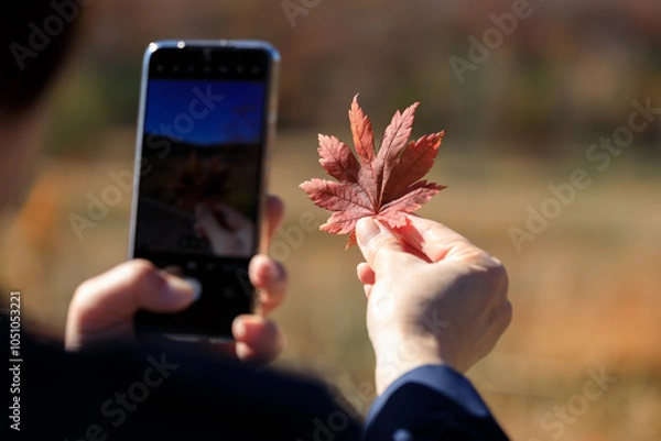 Obraz 紅葉　葉　スマートホンで撮影している女性　イメージ