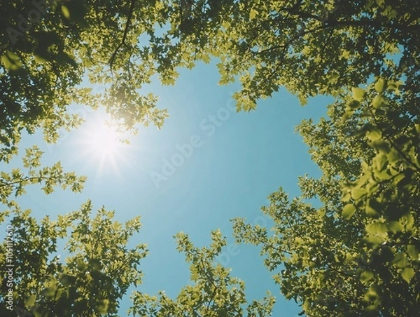 Fototapeta A breathtaking view of sun rays filtering through lush green leaves, creating a natural canopy against a clear blue sky.