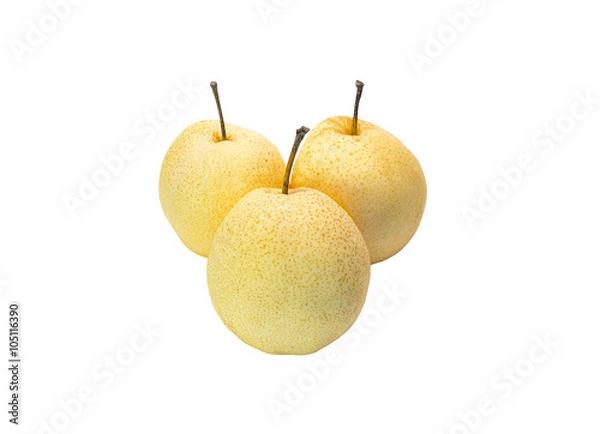 Fototapeta Chinese pear