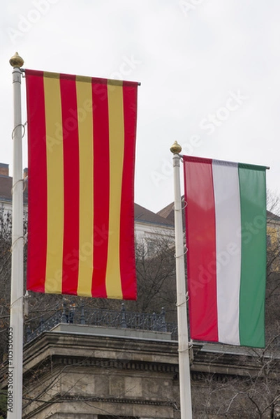 Fototapeta Hungarian flag