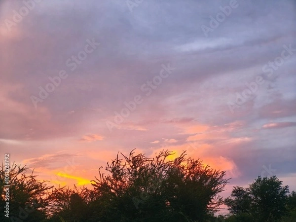 Obraz sunset over the field