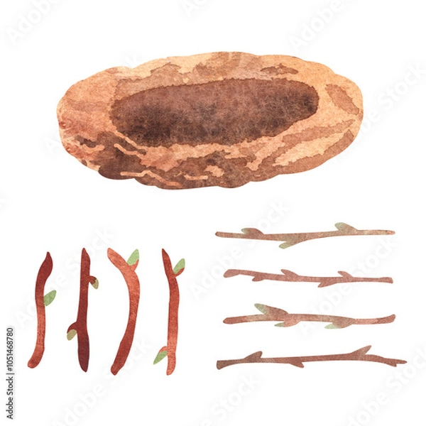 Fototapeta Empty bird nest and branches in simple childish style. Hand painted watercolor illustration, Isolated forest or park clipart on a transparent background, not AI.