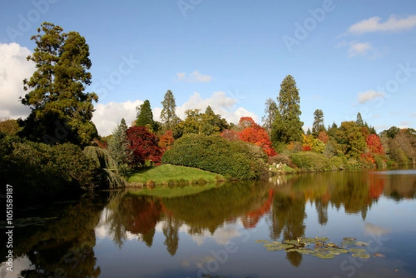 Fototapeta Autumn trees in Sussex, England