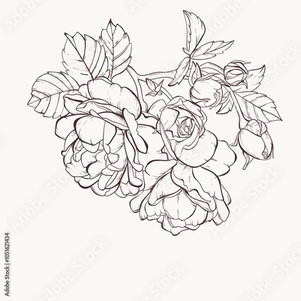 Fototapeta Vector rose flower isolated on white background. Element for design. Hand-drawn contour lines and strokes.