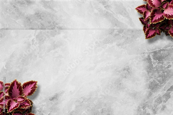 Obraz Marble Funeral Background