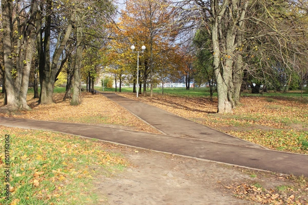Fototapeta Autumn Park Pathway with Fallen Leaves and Bare Trees on a Sunny Day