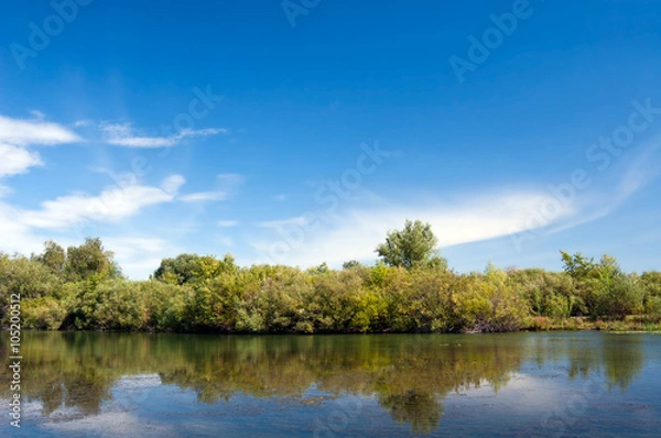 Fototapeta Landscape with water and forest front view